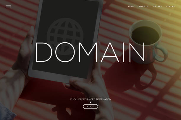 Domain hosting